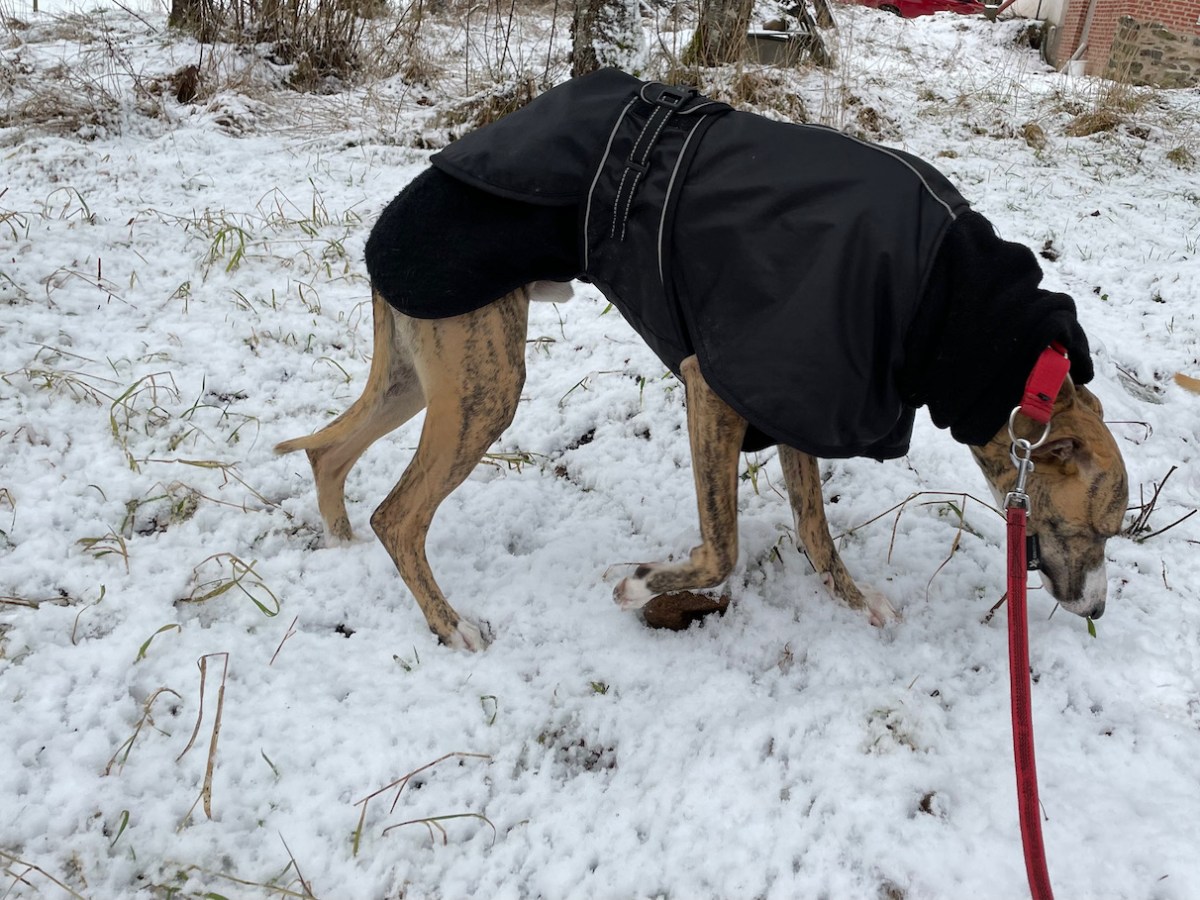 Helgrunda i Småland