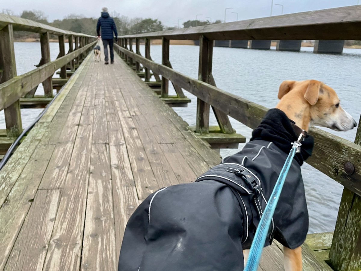 Rakt ut i&nbsp;Kalmarsund