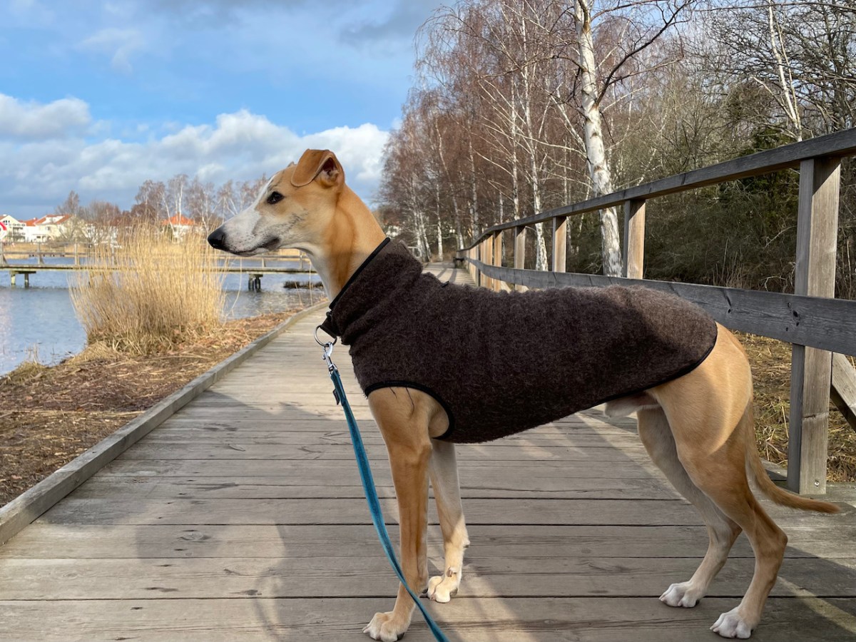 Lillviken är i&nbsp;vårsol